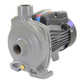 Pearl Bomba centrífuga 1.5 HP 110/220 V CEP15F16S