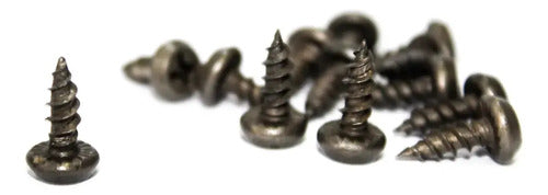 Tornillo Estructura 7x7/16'' (bolsa 100 Und) Gris Oscuro