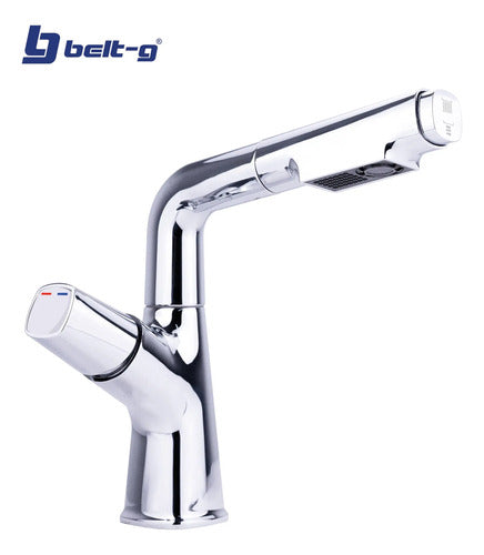 Grifo Lavamanos Monomando Extensible Valet. Gri-1538 Plateado Brillante